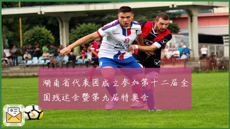 湖南省代表团成立参加第十二届全国残运会暨第九届特奥会