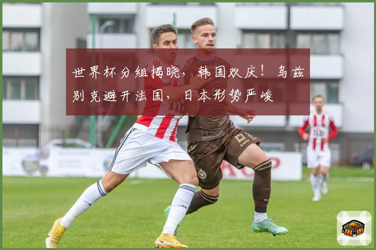 世界杯分组揭晓,韩国欢庆!乌兹别克避开法国,日本形势严峻