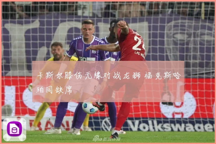 卡斯尔膝伤无缘对战龙狮 福克斯哈珀同缺席