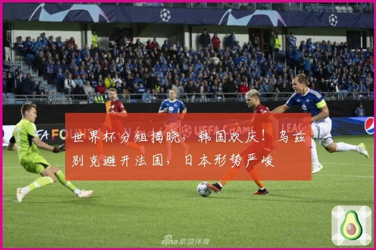 世界杯分组揭晓，韩国欢庆！乌兹别克避开法国，日本形势严峻